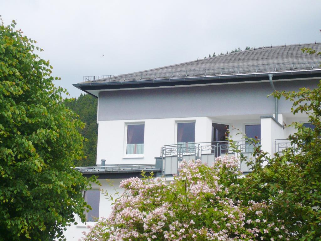 Fewo Penthaus-Blick Willingen  Exterior foto